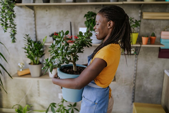 The size planter you use can mean a lot for the future health of your plant.