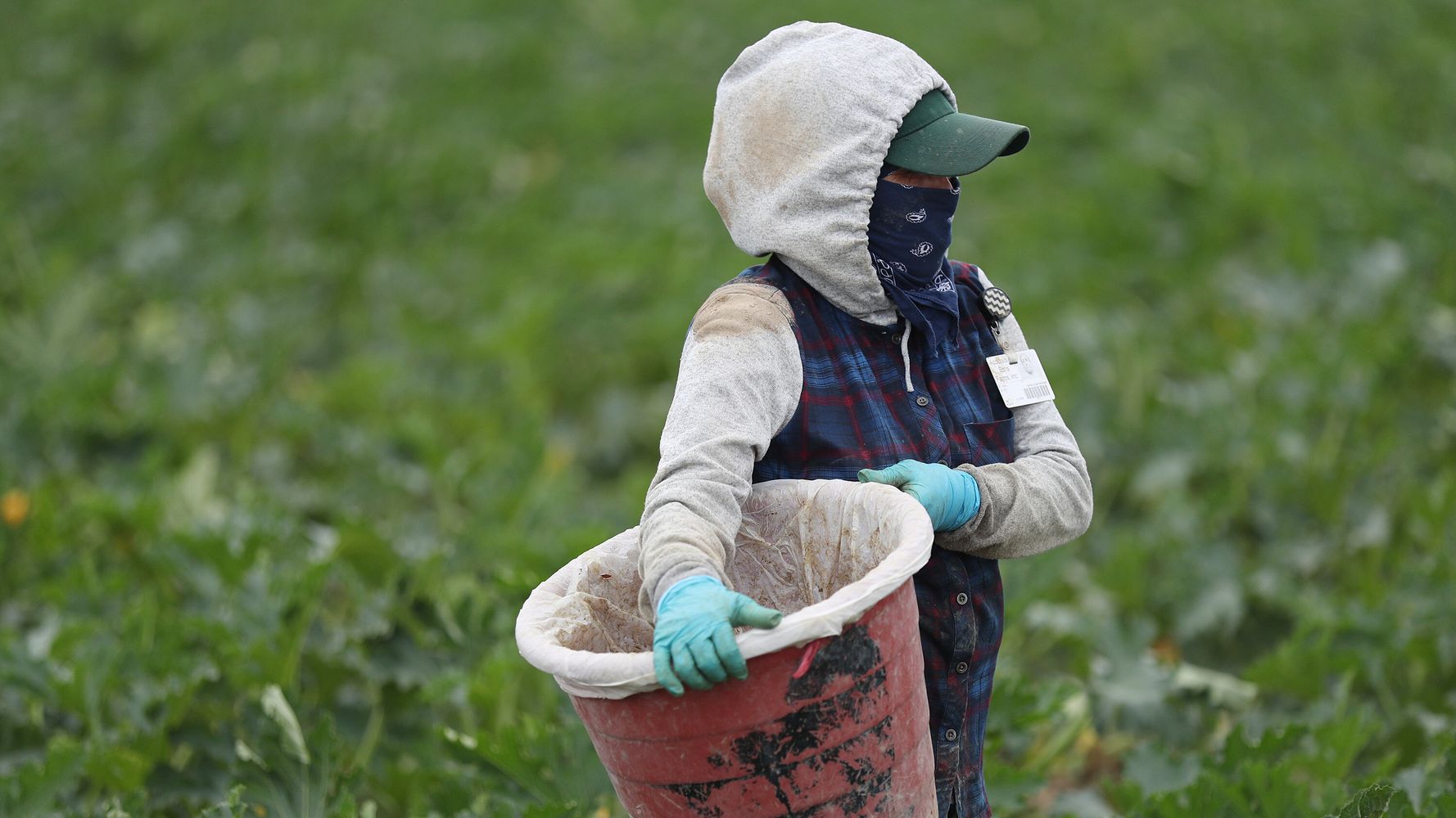 SWFL Fresh brand created to increase local farm visibility