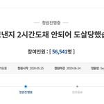 잘 키우겠다며 진돗개 모녀 입양한 70대 남성이 벌인