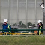 Trans Mountain Pipeline Oil Spill In B.C. Blamed On Pipe