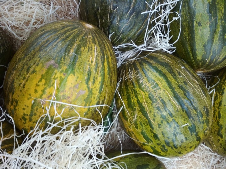 Melón piel de sapo