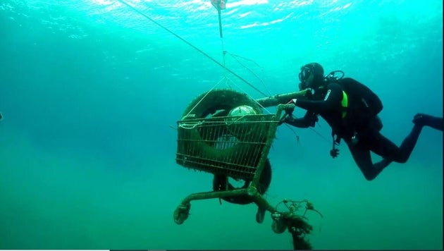 Τήνος, Οκτώβριος