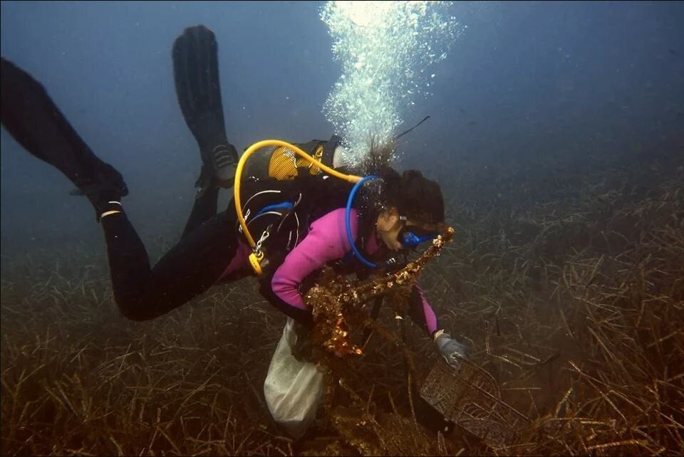 Τήνος, Οκτώβριος 2019.