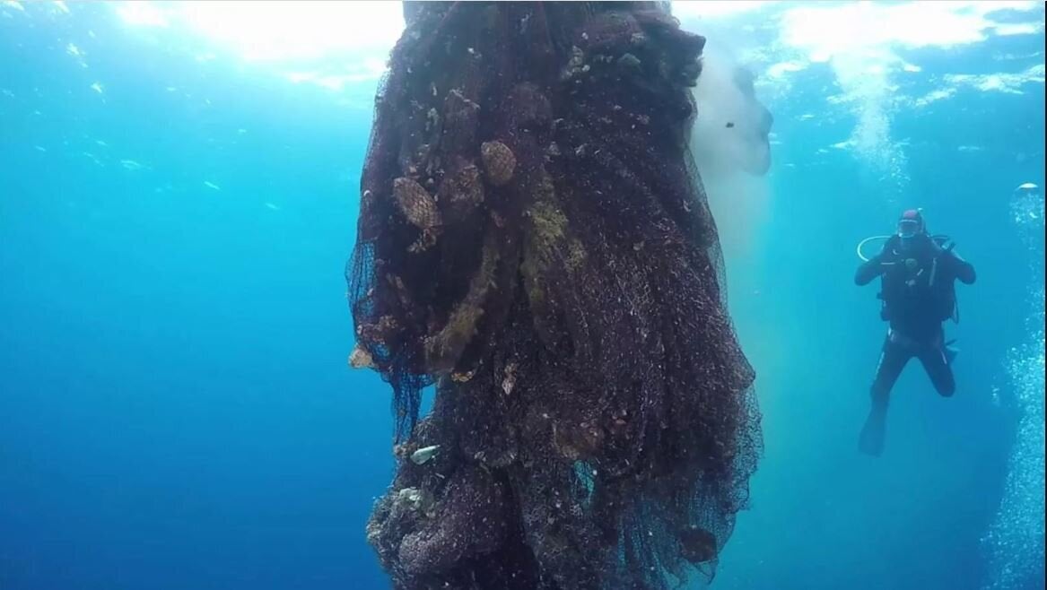 Μαρμάρι Εύβοιας, Αυγουστος 2018.