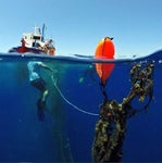 Bουτώντας στους πλαστικούς υφάλους και τις χωματερές των ελληνικών θαλασσών