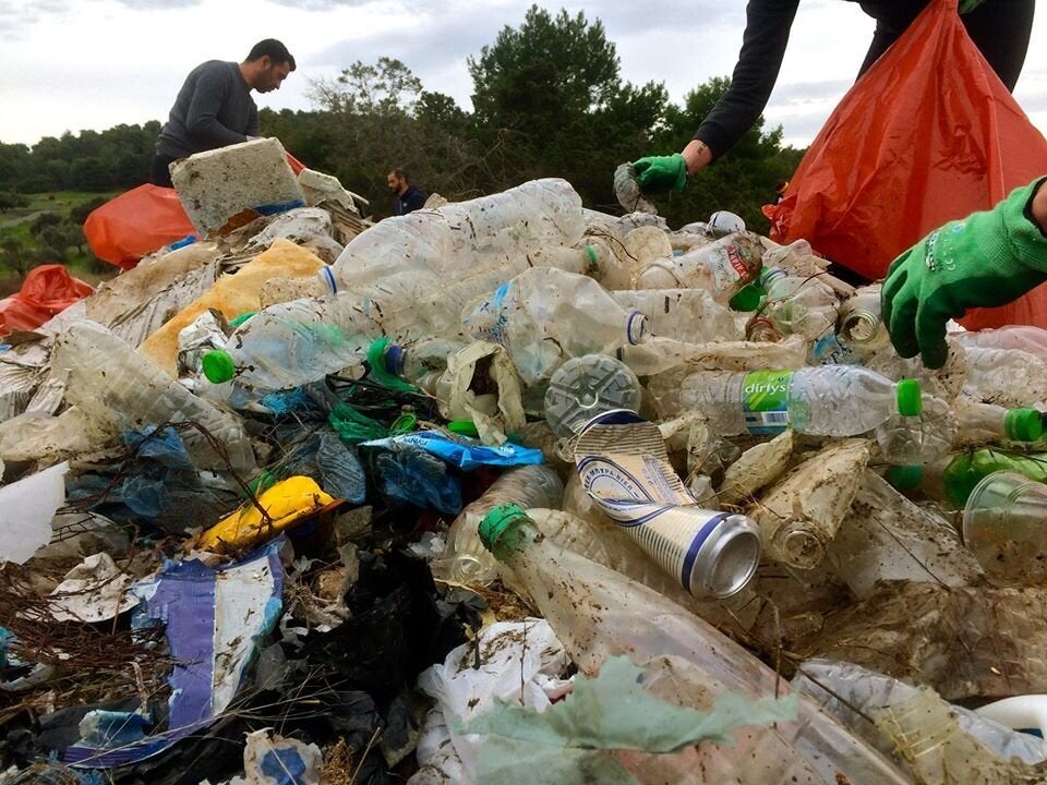 Υγροβιότοπος Λιβάδι-Κολοβρέχτης Εύβοιας, Φεβρουάριος 2018.