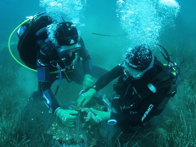 Λεγραινά Αττικής, Ιούνιος