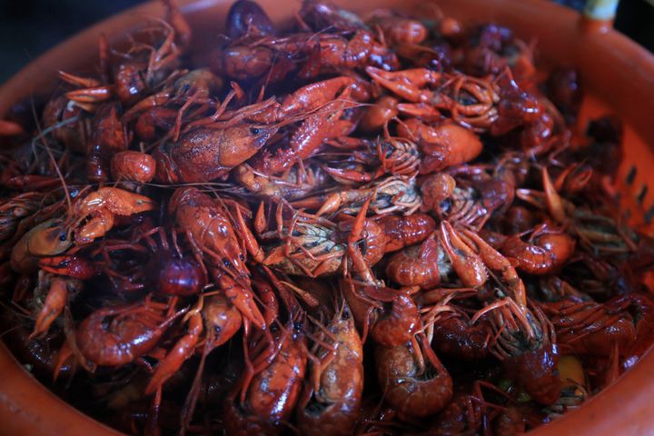 Alvarez Navarro and Hernandez Villadares say they were processing crawfish at a Louisiana plant when they and other workers got sick with COVID-19.