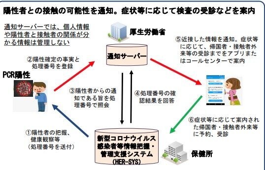 通知から受診に向けての流れ