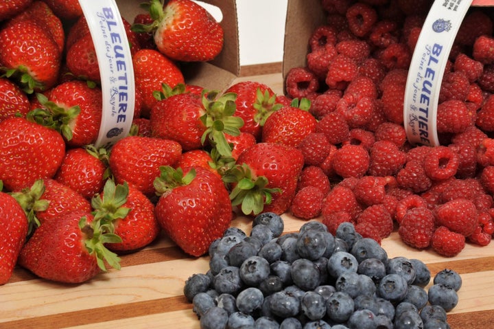 Nathalie Bruneau cultive des fraises, des framboises et des bleuets dans ses champs.