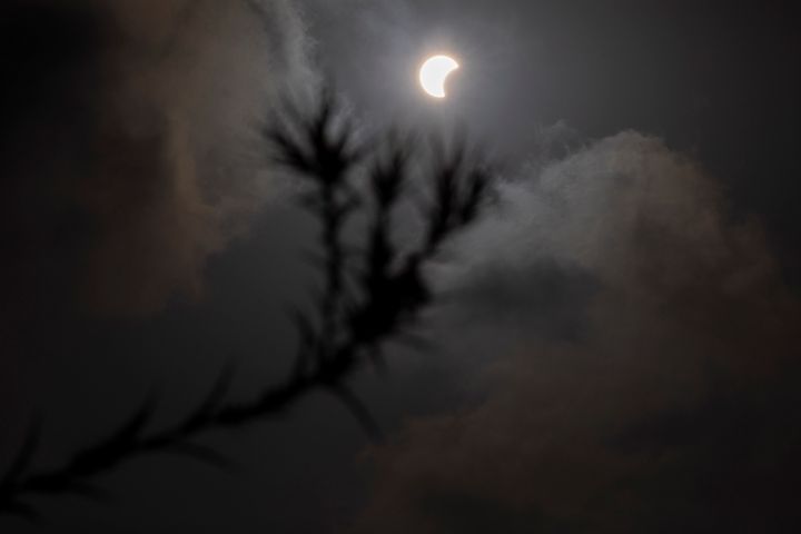 A partial solar eclipse is seen in Hefer Valley, Israel, Sunday, June 21, 2020. (AP Photo/Ariel Schalit)