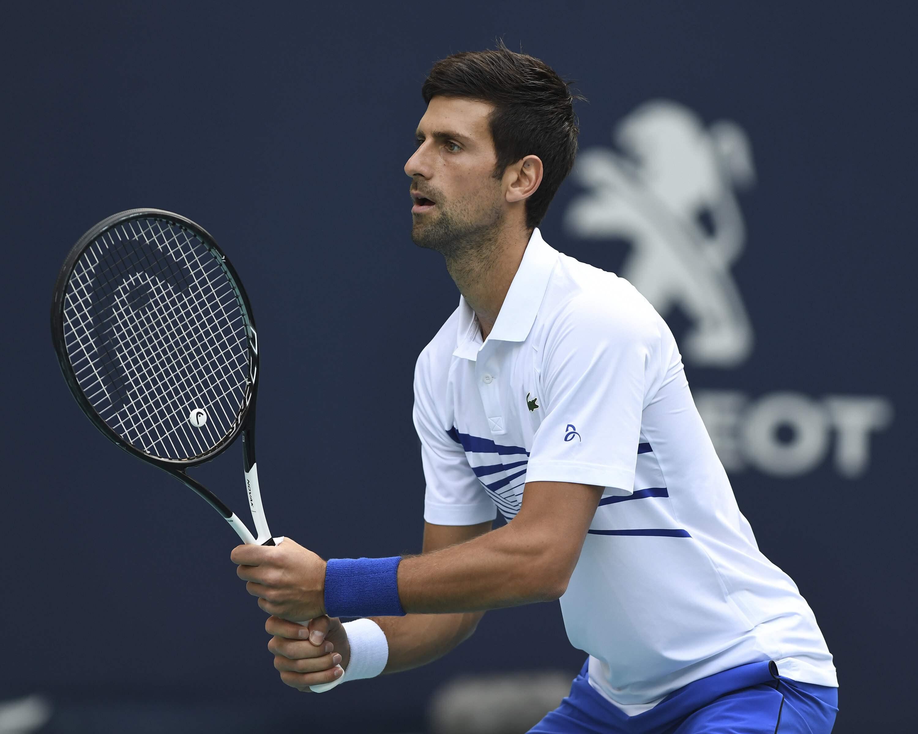 Tennis Star Novak Djokovic Tests Positive For Coronavirus | HuffPost Sports