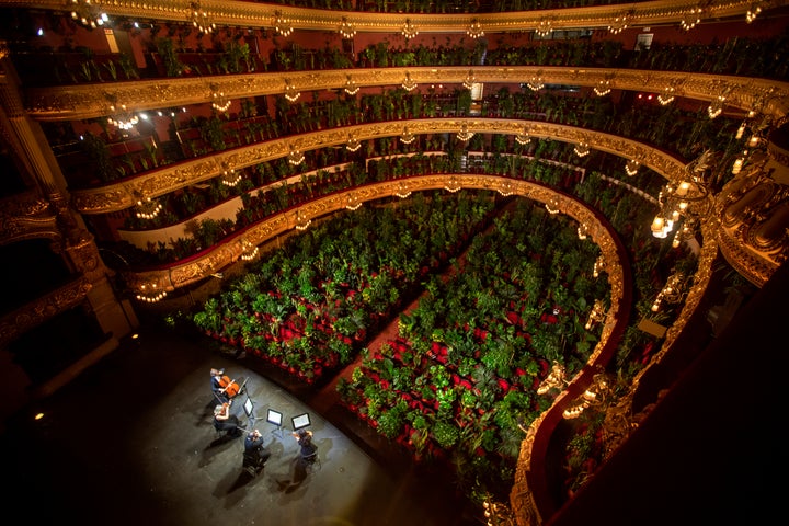 The UceLi Quartet rehearses in front of its green audience on Monday.