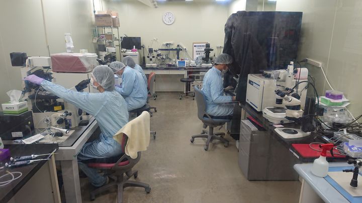iPS細胞を使った実験に取り組む東京大学医科学研究所の胚操作室