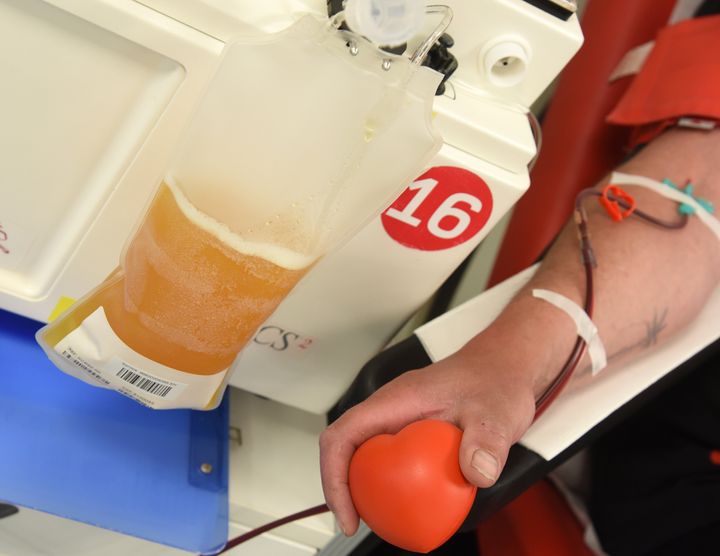 A representative photo of a man donating blood plasma at a blood donation centre.
