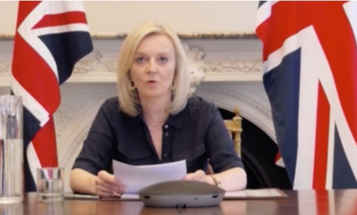 Liz Truss appearing via video before the Commons' international trade committee