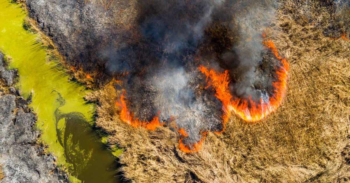 Siberian heat. Зомби пожары в Арктике. Лесной пожар клеточный автомат. Fire Aerial view. Heat Wave is.