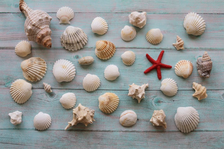 Derriere Le Loisir De Ramasser Des Coquillages Une Promenade Meditative Le Huffington Post Life Derriere Le Loisir De Ramasser Des Coquillages Une Promenade Meditative Le Huffington Post Life