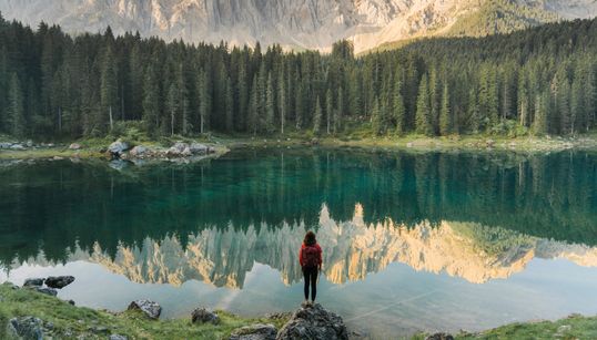 Après le confinement, comment renouer avec la nature qui nous a tant