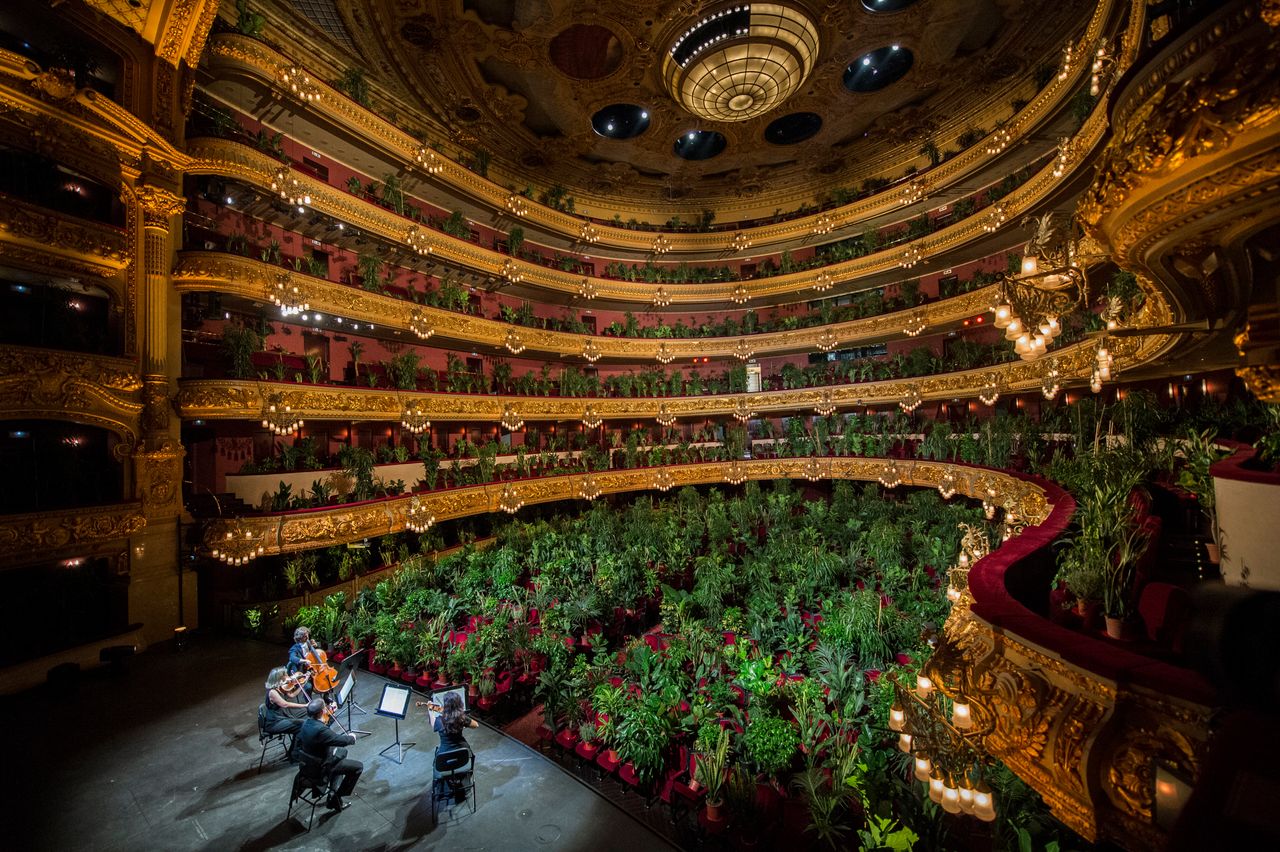 Στο Μεγάλο Θέατρο του Λισέου, έδρα της Όπερας της Βαρκελώνης, το Κουαρτέτο UceLi, παρουσίασε την Δευτέρα, το έργο του Τζιάκομο Πουτσίνι «Crisantemi» (Χρυσάνθεμα), μπροστά σε 2.292 φυτά. Μετά την ολοκλήρωση της παράστασης, τα φυτά δόθηκαν σε 2.292 εργαζομένους στον τομέα της υγείας ως ένα ελάχιστο ευχαριστώ για την προσφορά τους στην πανδημία. 