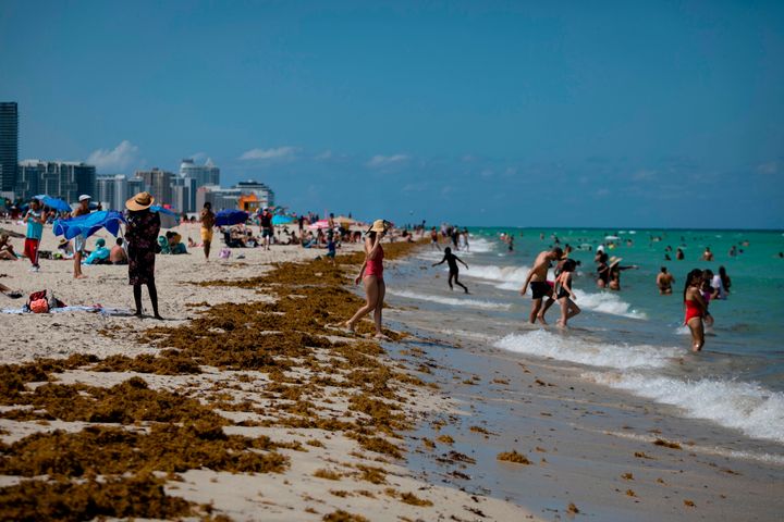 A bustling beach in Florida in June.