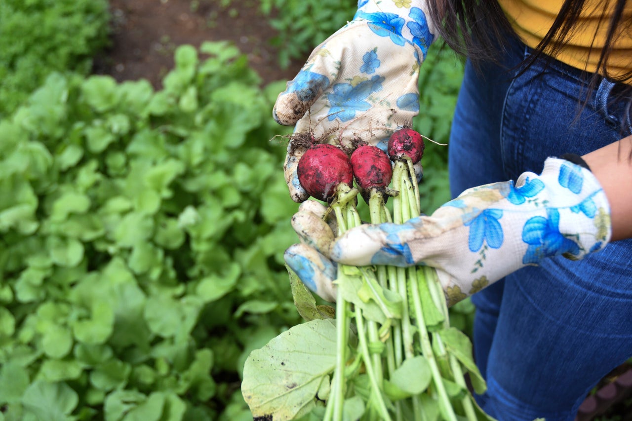 Food labels can be a helpful signal that the produce aligns with your “goals and desires,” said Asmeret Asefaw Berhe, a professor at the University of California, Merced.