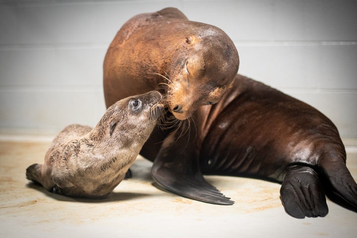 Lovell gives a smooch to her little one.