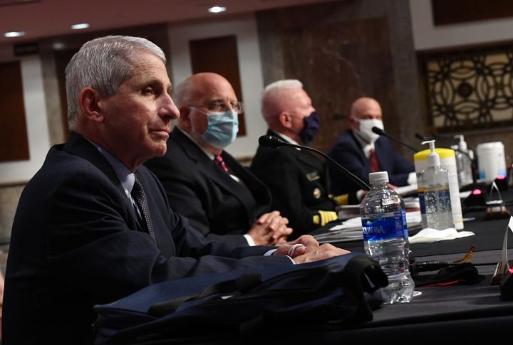 From left, Dr. Anthony Fauci, director of the National Institute for Allergy and Infectious Diseases, and others testify before the Senate Health, Education, Labor and Pensions Committee on Tuesday. (Kevin Dietsc/AFP via Getty Images)