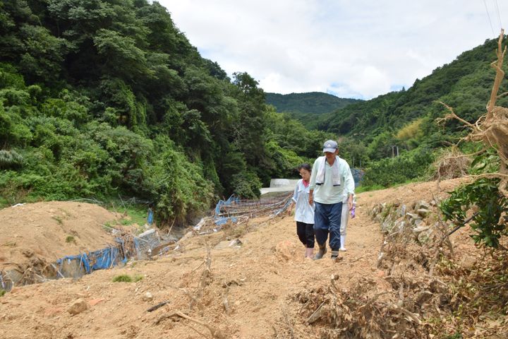 被害に遭ったかんきつ畑の山を歩く住民ら。住民によると、至る所でミカンなどが栽培されていたという＝2018年7月21日、愛媛県宇和島市