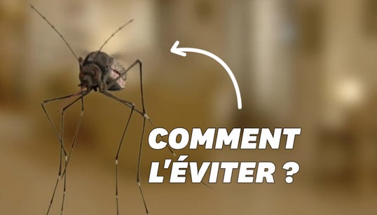 Avant ou après la crème solaire? Ce qu’il faut savoir pour bien appliquer son