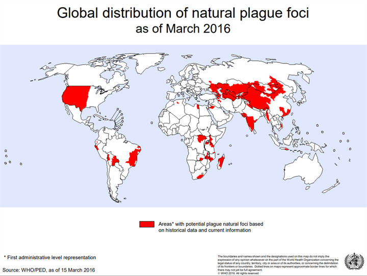Les foyers naturels de la peste dans le monde, selon l'OMS.