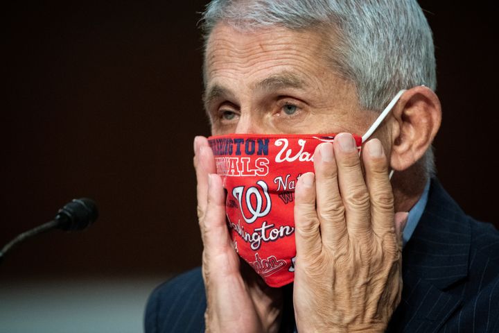 Anthony Fauci, director of the National Institute of Allergy and Infectious Diseases, adjusts his face mask during a Senate committee hearing on the coronavirus on June 30, 2020. 