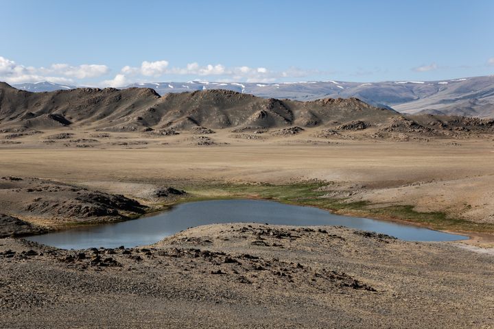 Beautiful view of steppe in mongolia