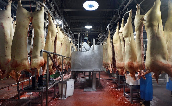 Pigs are weighed at the Smithfield Foods processing facility on Oct. 9, 2014, in Clinton, North Carolina. Workers at Smithfield's plant in Milan, Missouri, say the company failed to protect them from coronavirus.