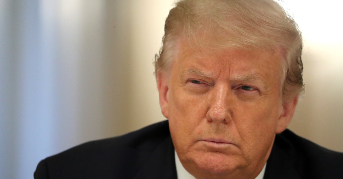Trump Promises To Pressure Governors To Reopen Schools In Fall ...