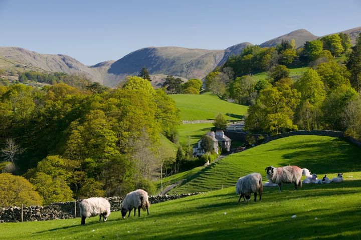 Spring in Troutbeck Valley with the Kentmere Fells beyond, in the scenic Lake District