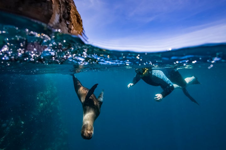 Snorkelling off Santa Cruz Island.