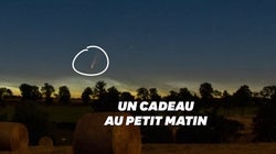 Tous les matins, vous pouvez regarder la comète Neowise au