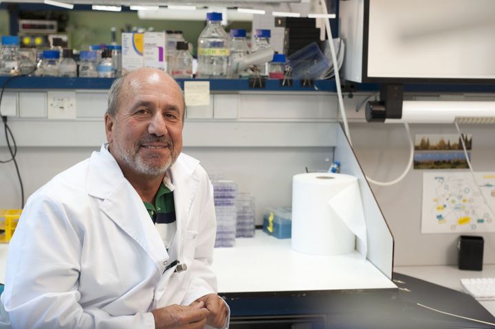 El investigador Mariano Esteban en su laboratorio.