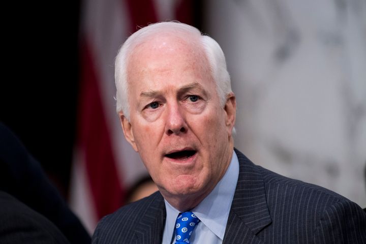Sen. John Cornyn (R-Texas) told a local news channel that he wasn't sure if kids could get or transmit COVID-19. Data shows they can.