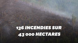En Sibérie, les incendies font rage et vont accentuer à leur tour le réchauffement