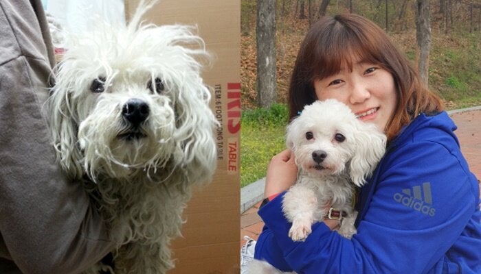 유기견 보호소 입소 당시 시루의 모습(왼쪽), 시루와 희영씨 모습