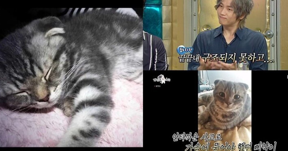 5f0fb6f3270000cf0be66d94.jpeg?cache=RAi3V71APp&amp;ops=1200_630