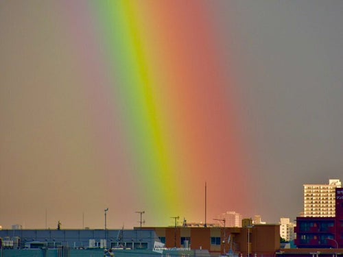 虹は7色とは限らないって知ってた？ 国によって数が違うという衝撃の