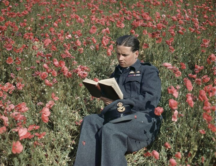 Wing Commander Guy Gibson, Commander Of 617 Squadron (Dambusters) At Scampton, Lincolnshire, 22 July 1943,