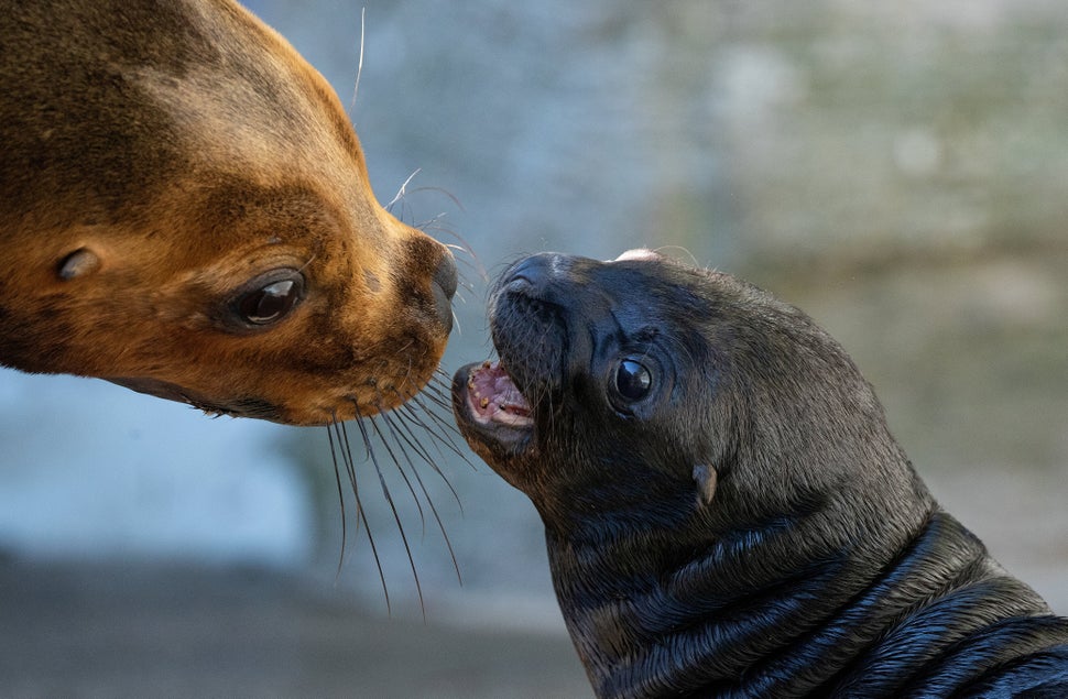 13 Amazing Photos You Missed This