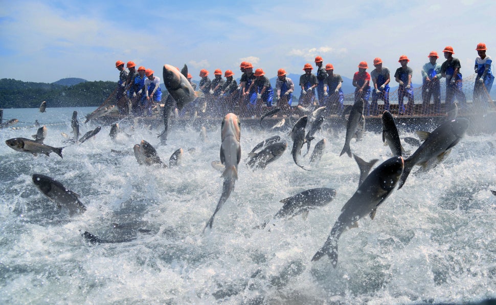 13 Amazing Photos You Missed This