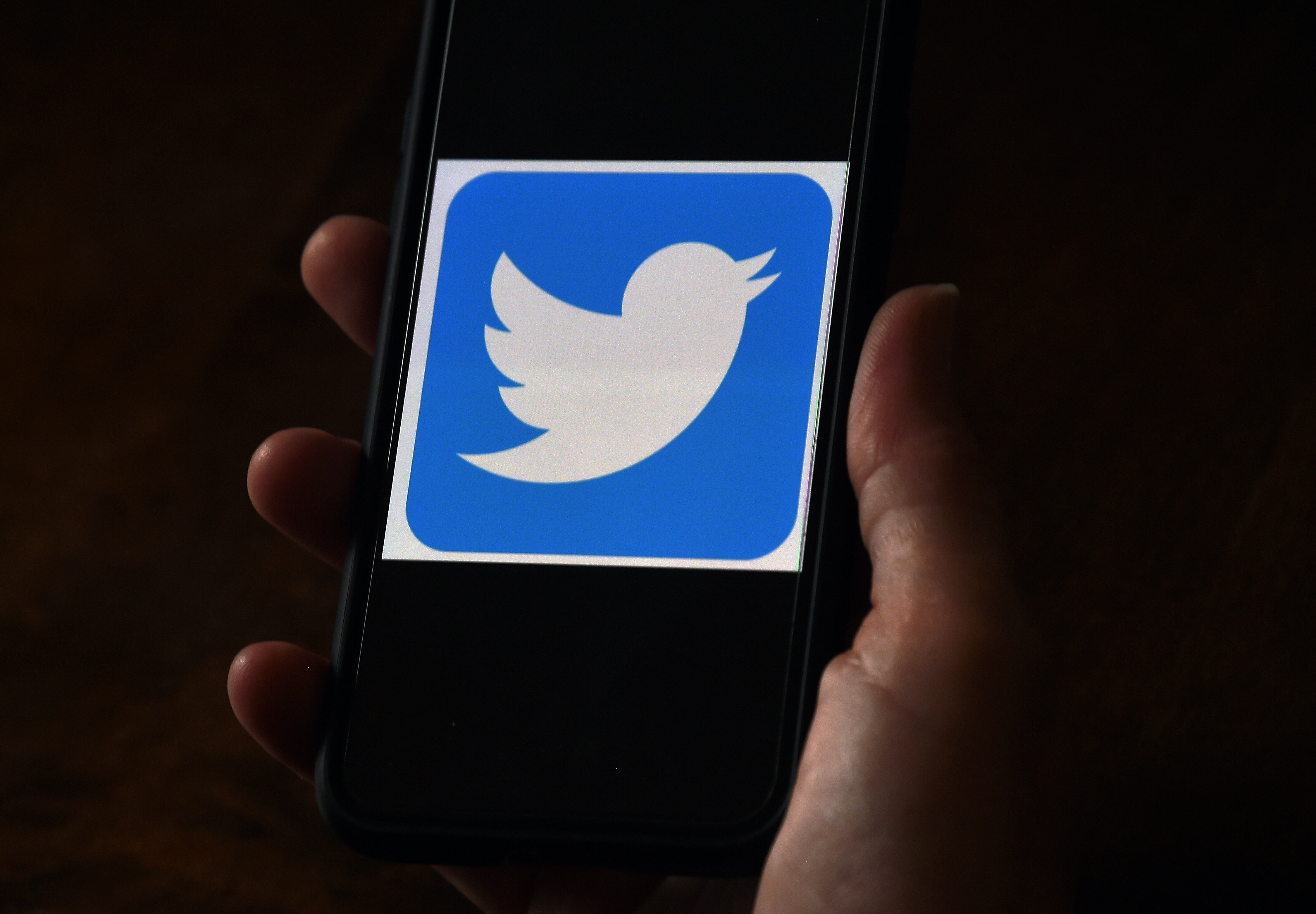 Six associations anti-discriminations attaquent Twitter en justice