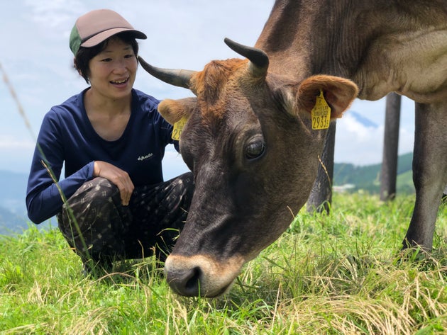 天空の 薫る野牧場 の壮大なエコシステム 365日 自然放牧の山地酪農が目指すサステナブルとは ハフポスト 天空の 薫る野牧場 の壮大なエコシステム 365日 自然放牧の山地酪農が目指すサステナブルとは ハフポスト