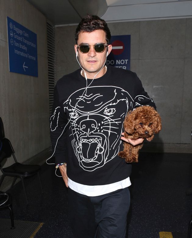 Orlando Bloom Pays Tribute To Beloved Dog, Mighty: Ive Wept More This Week Than I Thought Possible